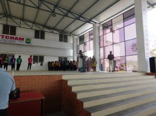 Plants: image 1 0f 4 thumb